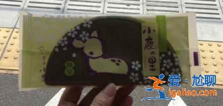 日本各地名產大匯集，最有特色的商品都在這了？