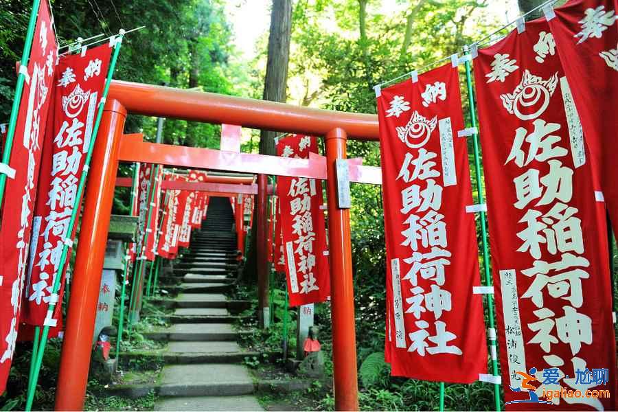 【日本簽證辦理流程】日本自助游簽證好辦嗎，日本個人旅游簽證辦理指南？