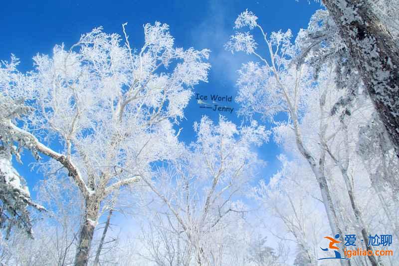 哈爾濱到東升林場（雪谷）交通，哈爾濱到東升林場怎么去？