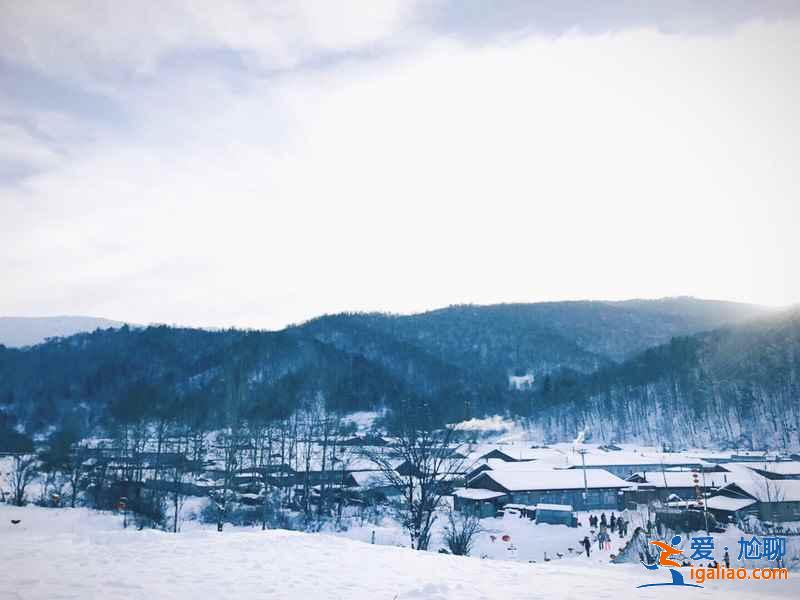 哈爾濱到東升林場（雪谷）交通，哈爾濱到東升林場怎么去？