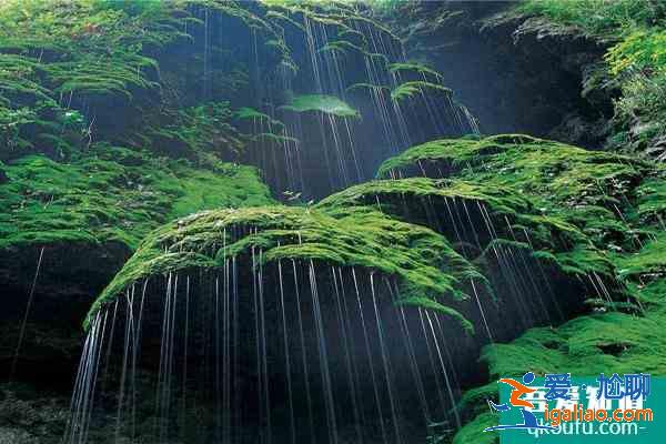 2021河南云臺山疫情防控加強通知？