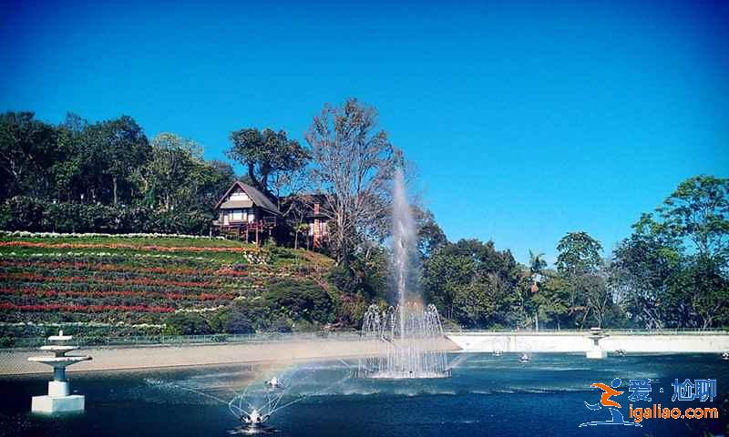 清邁素貼山怎么玩？素貼山+蒲屏皇宮+雙龍寺一日游？