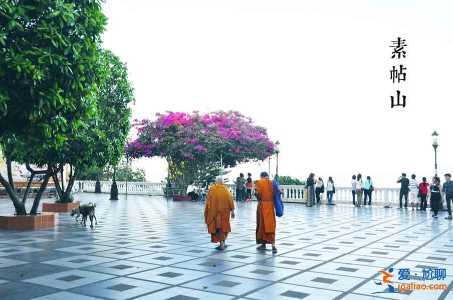 清邁素貼山怎么玩？素貼山+蒲屏皇宮+雙龍寺一日游？