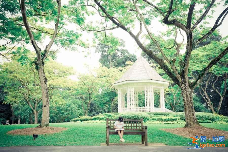 新加坡旅游注意事項(xiàng)（購物、貨幣、天氣）？