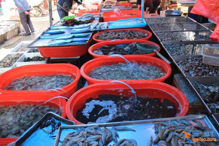青島人氣海鮮市場TOP4，吃的盡興又劃算？