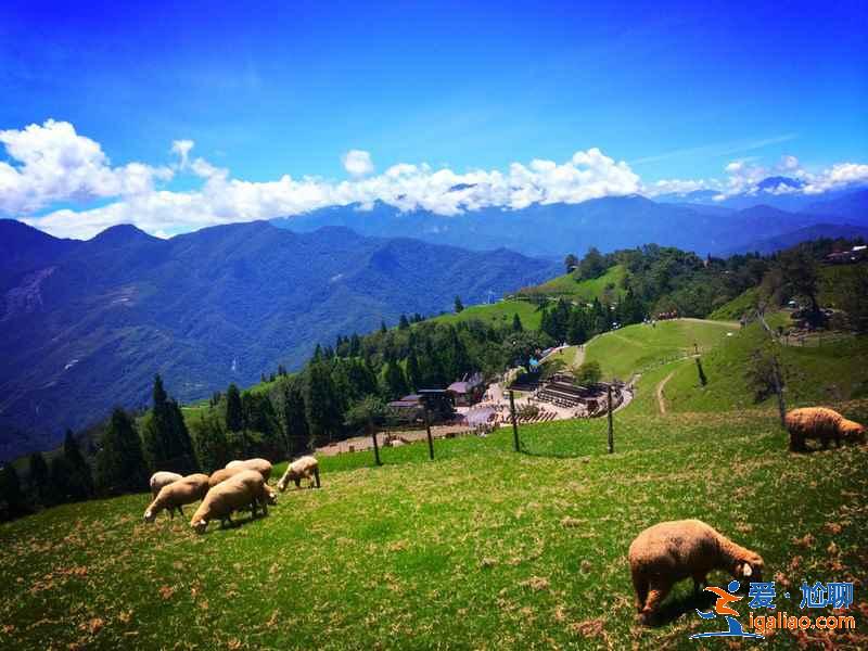 臺(tái)灣游玩一定要做的事，臺(tái)灣旅游必體驗(yàn)，臺(tái)灣游玩攻略？