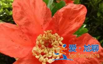 紅米Note10Pro值得入手嗎？