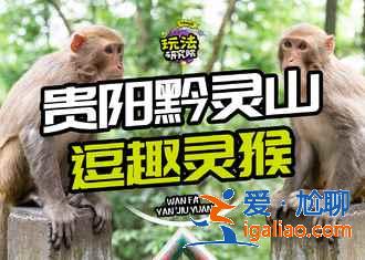 貴陽有哪些景點,貴陽值得玩的景點,貴陽必去景點? 貴陽有哪些景點,貴陽值得玩的景點,貴陽必去景點?