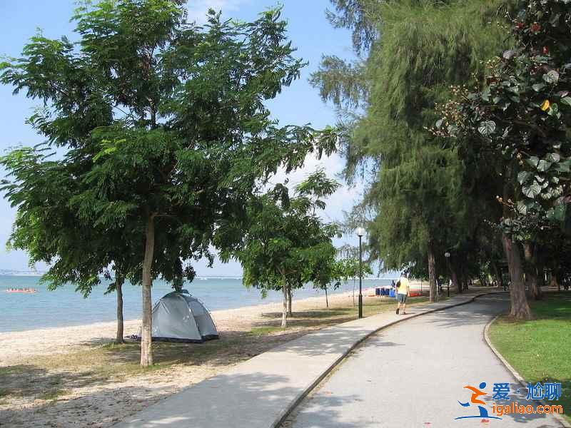 情侶去新加坡玩什么,情侶去新加坡怎么玩,情侶去新加坡必體驗項目盤點? 情侶去新加坡玩什么,情侶去新加坡怎么玩,情侶去新加坡必體驗項目盤點?