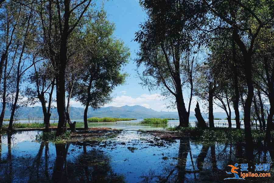 大理海舌生態公園值得去嗎，大理海舌生態公園具體位置，大理海舌生態公園需要門票嗎？