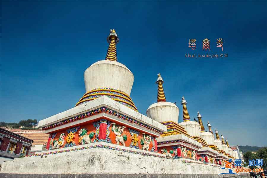 六月青海湖哪里好玩，六月青海湖有哪些好玩的地方，青海湖六月旅游好去處？