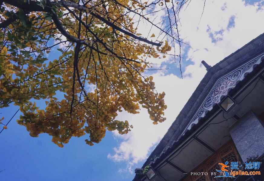 大理兩日游怎么玩,大理兩日游玩哪里好,大理兩日游路線? 大理兩日游怎么玩,大理兩日游玩哪里好,大理兩日游路線?