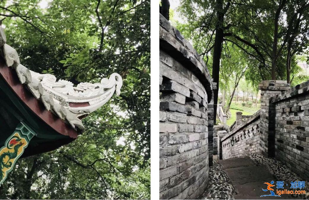 亂逛 | 西珠市街42號(hào)，露天停車場(chǎng)旁的園子讓人驚艷