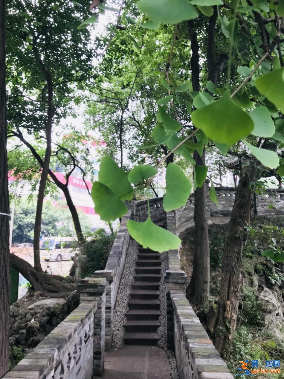 亂逛 | 西珠市街42號(hào)，露天停車場(chǎng)旁的園子讓人驚艷