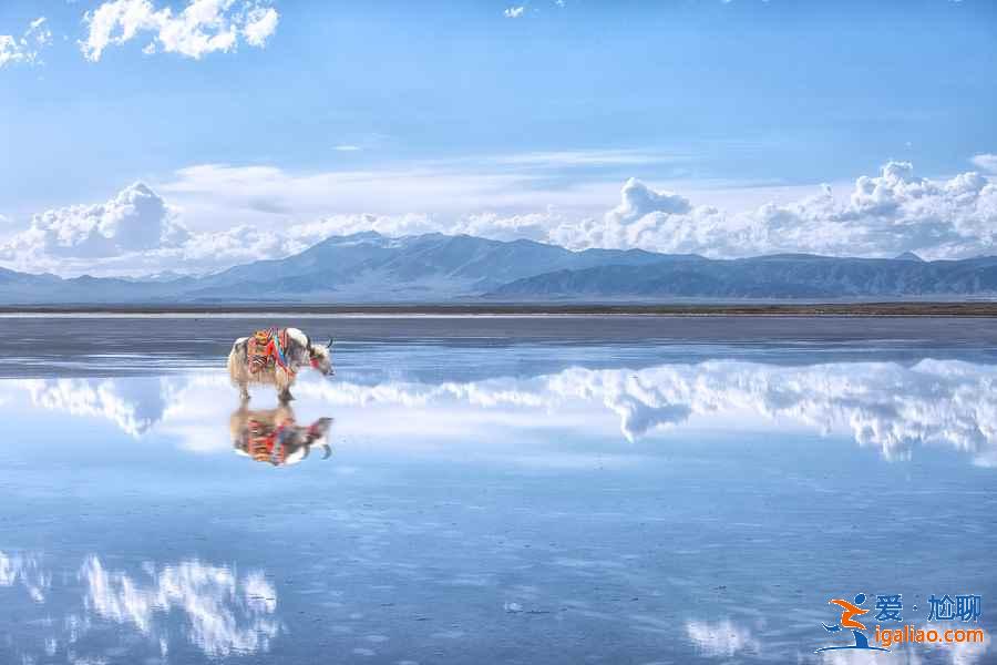 青海湖自駕游路線,青海湖自駕游攻略,青海湖自駕游怎么玩? 青海湖自駕游路線,青海湖自駕游攻略,青海湖自駕游怎么玩?