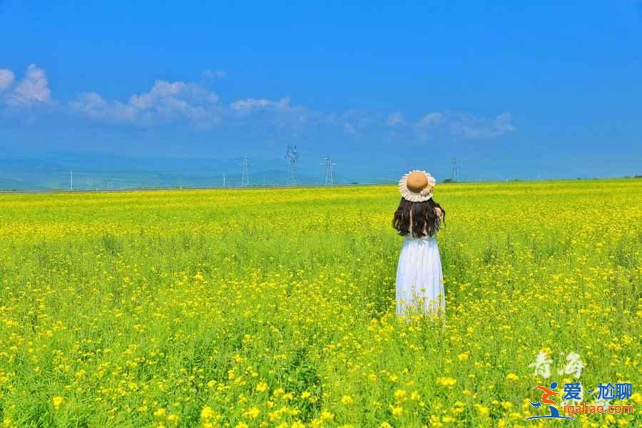 青海湖閨蜜游去哪里，青海湖閨蜜游怎么玩，青海湖閨蜜游攻略？