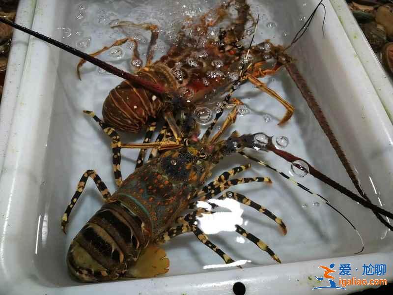 珠海海鮮店有什么推薦，在珠海怎么吃到便宜地道的海鮮？
