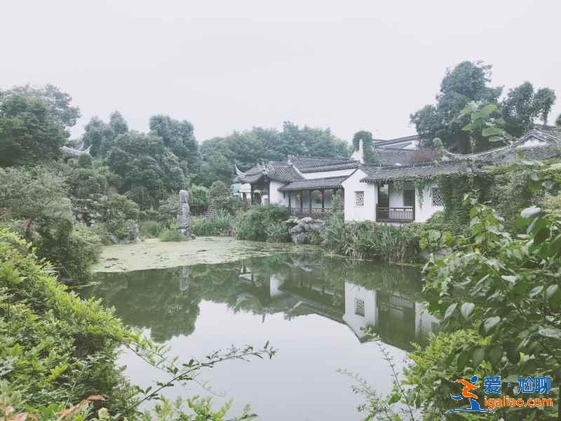 杭州西溪濕地怎么玩,杭州西溪濕地怎么玩比較好,杭州西溪濕地游玩攻略? 杭州西溪濕地怎么玩,杭州西溪濕地怎么玩比較好,杭州西溪濕地游玩攻略?