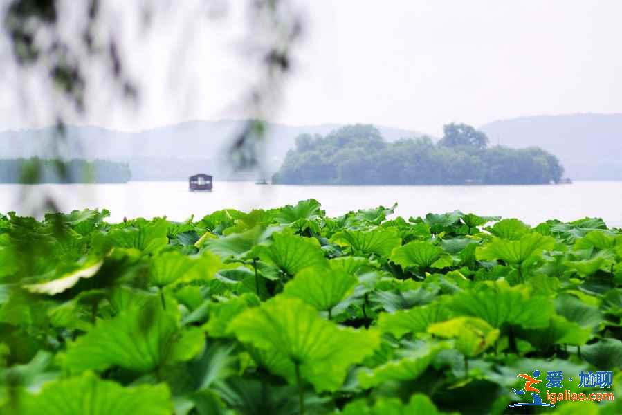 杭州三日游怎么玩,杭州三日游旅游線路推薦? 杭州三日游怎么玩,杭州三日游旅游線路推薦?