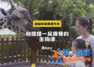 新加坡有什么好玩的，新加坡必游景點(diǎn)TOP10？