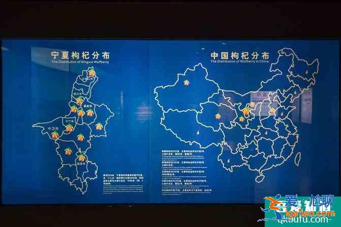 寧夏自駕游攻略及花費(fèi)介紹 這份6日游路線很經(jīng)典? 寧夏自駕游攻略及花費(fèi)介紹 這份6日游路線很經(jīng)典?