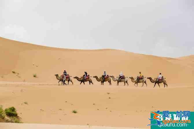 寧夏自駕游攻略及花費(fèi)介紹 這份6日游路線很經(jīng)典? 寧夏自駕游攻略及花費(fèi)介紹 這份6日游路線很經(jīng)典?