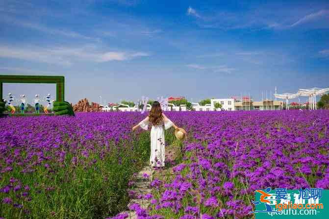 寧夏自駕游攻略及花費(fèi)介紹 這份6日游路線很經(jīng)典? 寧夏自駕游攻略及花費(fèi)介紹 這份6日游路線很經(jīng)典?