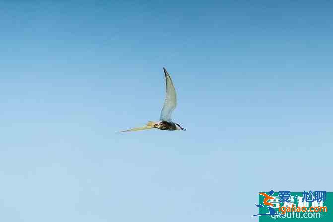 寧夏自駕游攻略及花費(fèi)介紹 這份6日游路線很經(jīng)典? 寧夏自駕游攻略及花費(fèi)介紹 這份6日游路線很經(jīng)典?