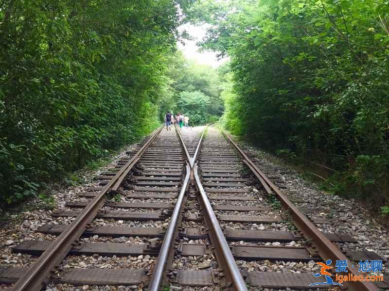 【南京愛情隧道】南京江寧愛情隧道怎么走,南京愛情隧道地址? 【南京愛情隧道】南京江寧愛情隧道怎么走,南京愛情隧道地址?