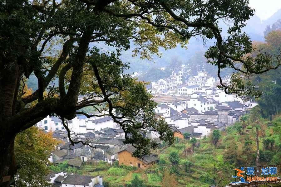 杭州古村落推薦,杭州人少景美的古村,杭州哪個古村值得去? 杭州古村落推薦,杭州人少景美的古村,杭州哪個古村值得去?