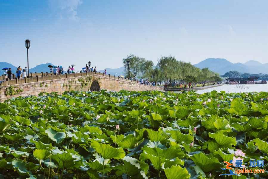 杭州景點排行，杭州旅游景點大全，杭州景點推薦？