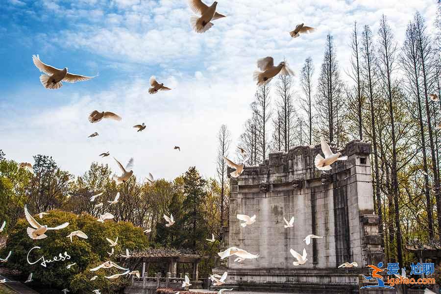 【2019南京公園年卡】2019南京公園年卡多少錢，2019南京公園年卡辦卡點(diǎn)？