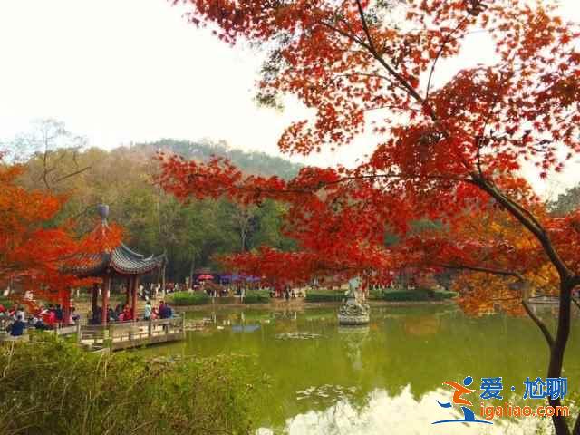 去南京，為普通、文藝、2B青年推薦不同玩法？