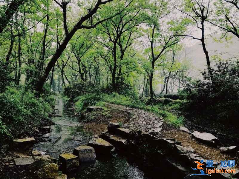 杭州適合拍照的地方,杭州網紅拍照勝地,杭州拍照好去處? 杭州適合拍照的地方,杭州網紅拍照勝地,杭州拍照好去處?