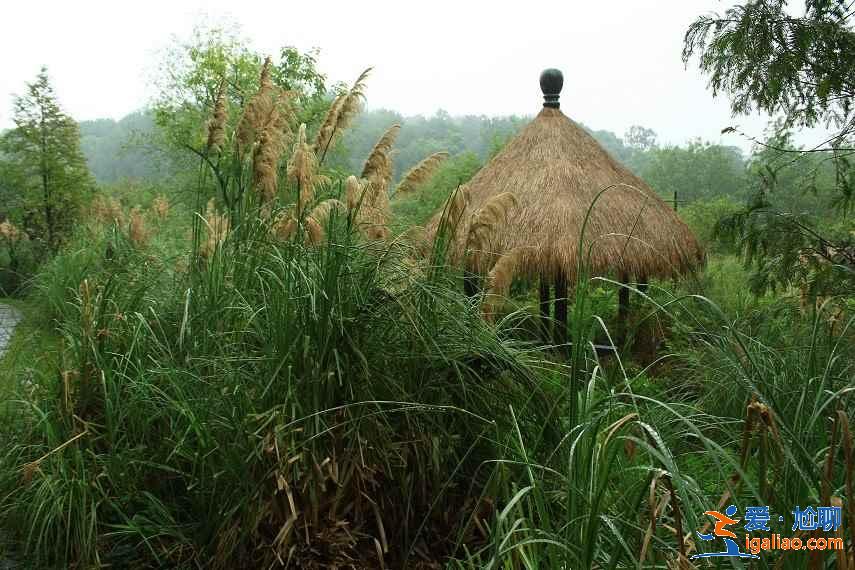 杭州哪里適合拍照,杭州哪里拍照好看,盤點那些適合拍照的地方? 杭州哪里適合拍照,杭州哪里拍照好看,盤點那些適合拍照的地方?