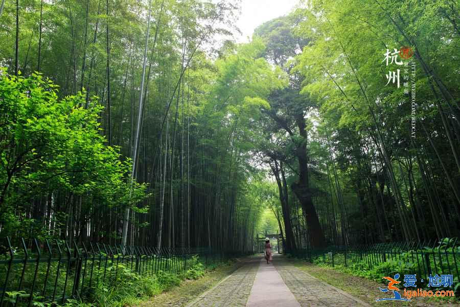 杭州適合拍照的地方,杭州網紅拍照勝地,杭州拍照好去處? 杭州適合拍照的地方,杭州網紅拍照勝地,杭州拍照好去處?