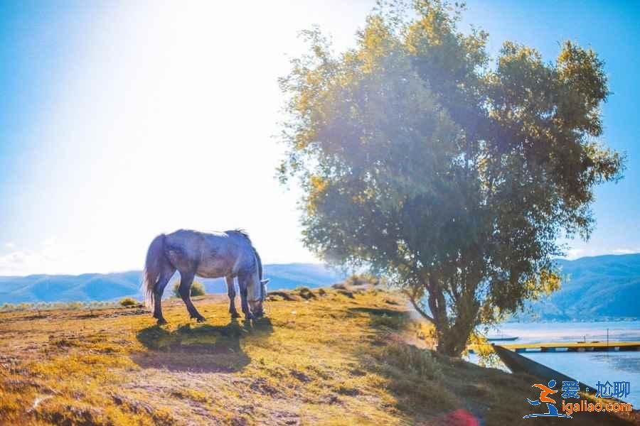 十一麗江人多嗎，2019十一去麗江穿什么，十一去麗江哪里玩？