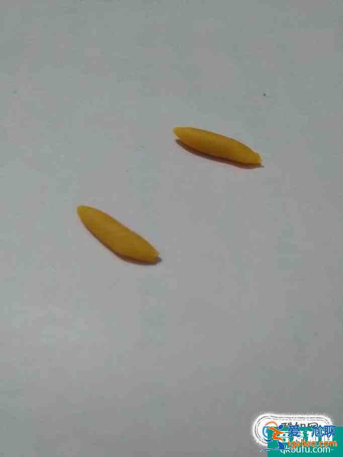 手工獎杯制作方法？