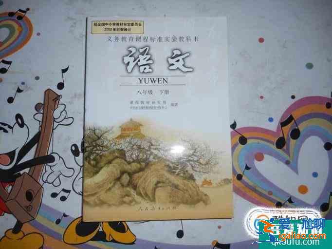 初中語文怎么學？