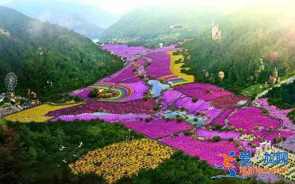 重慶薰衣草花海在哪里,重慶薰衣草莊園? 重慶薰衣草花海在哪里,重慶薰衣草莊園?