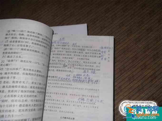 初中語文怎么學？