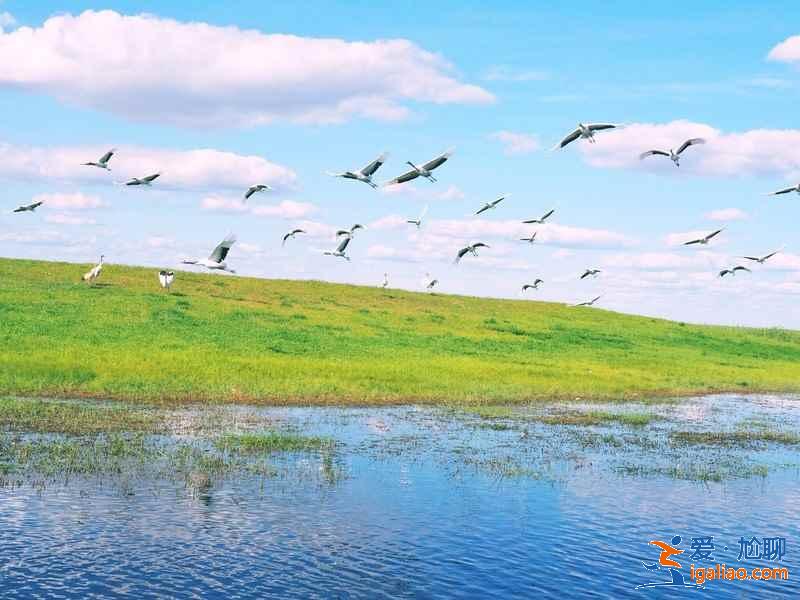 【松原周邊游】2019松原五一周邊哪里好玩,松原周邊好玩的地方? 【松原周邊游】2019松原五一周邊哪里好玩,松原周邊好玩的地方?