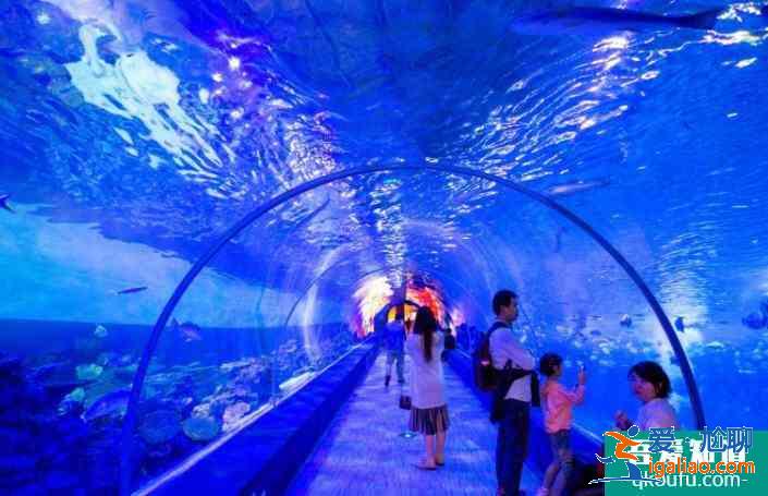 2022重慶漢海海洋公園元旦表演時間表及門票價格？