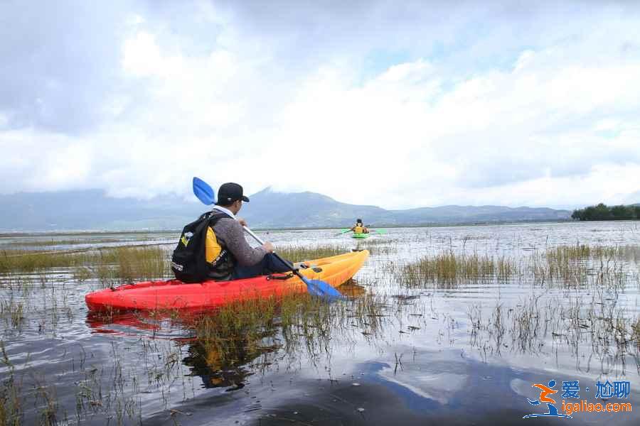 【五一去拉市海】五一去拉市海玩什么,拉市海五一有什么好玩的? 【五一去拉市海】五一去拉市海玩什么,拉市海五一有什么好玩的?