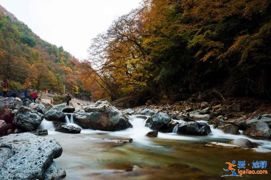 成都到光霧山多少公里，成都到光霧山自駕路線？