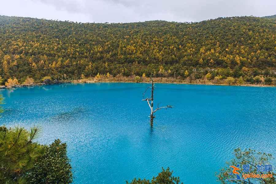 麗江市區有什么好玩的地方,麗江市區1日游路線? 麗江市區有什么好玩的地方,麗江市區1日游路線?