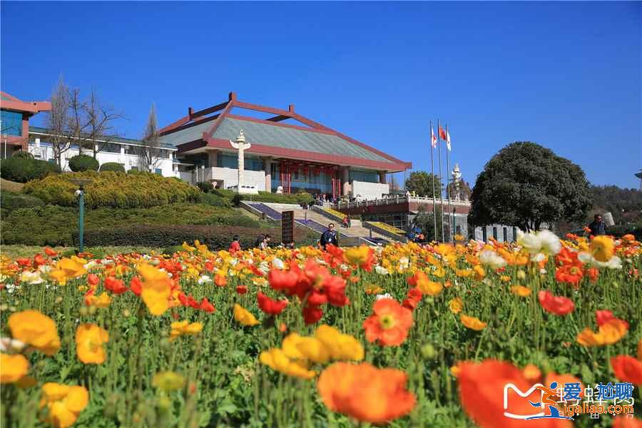 昆明世界園藝博覽園好玩嗎？昆明世界園藝博覽園值得去嗎？昆明世界園藝博覽園景區(qū)攻略？