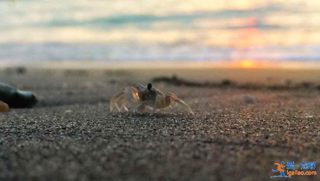 2019澳門十一旅游推薦，澳門國(guó)慶節(jié)有什么好玩的地方？