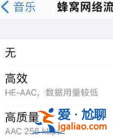 iPhone12無損音樂功能怎么開啟？