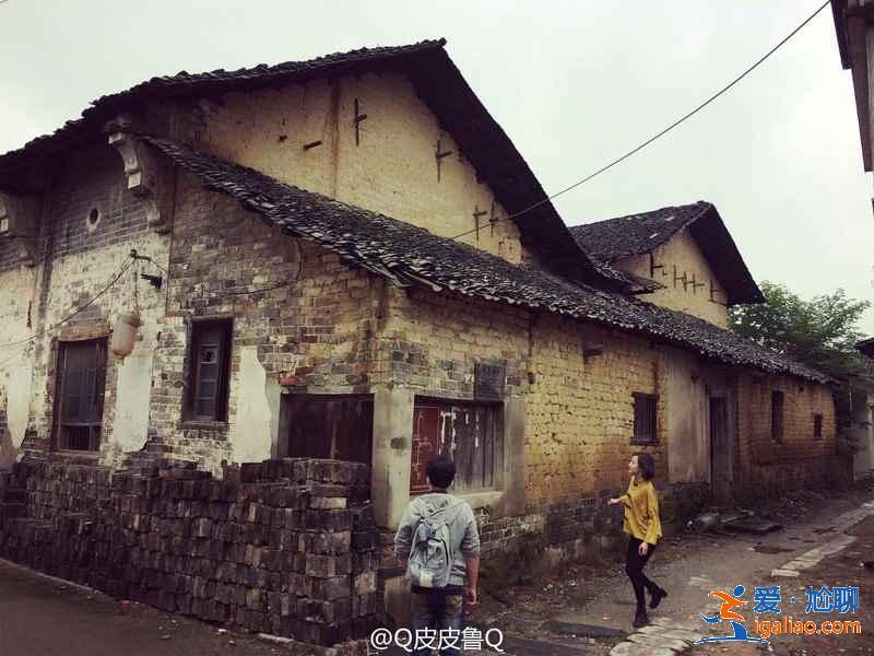 武漢自駕游去哪，周邊有什么自駕游好地方，武漢自駕游攻略？